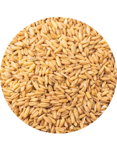 AVENA PELADA PET CUP - 850 GR