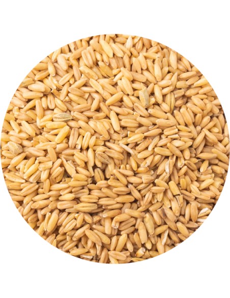 AVENA PELADA PET CUP - 850 GR