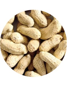 CACAHUETE CON CASCARA PET CUP - 1,5 KG