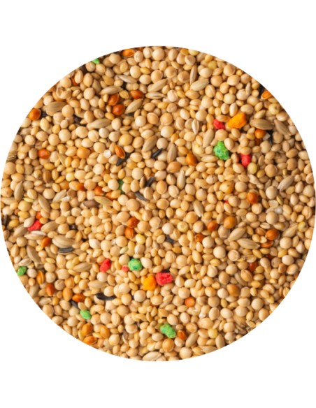 MIXTURA EXÓTICOS STANDARD PET CUP