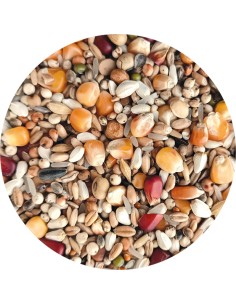 MIXTURA PALOMOS VIUDOS PET CUP - 25 KG