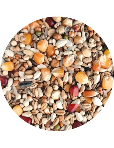 MIXTURA PALOMOS VIUDOS PET CUP - 25 KG