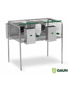 JAULA CONEJOS LIMA CRÍA GAUN 2