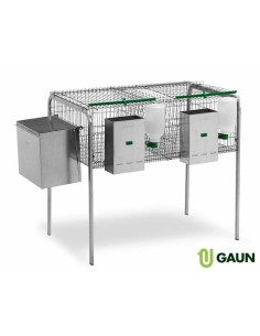 JAULA CONEJOS GALICIA GAUN