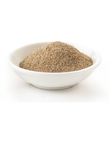 RECOVER PLUS PET CUP - 500 GR