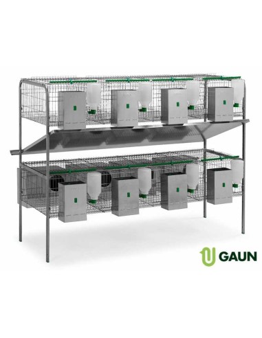 JAULA CONEJOS EXTREMADURA GAUN