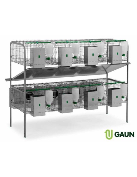 JAULA CONEJOS EXTREMADURA GAUN