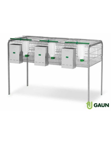 JAULA CONEJOS SEGURA GAUN