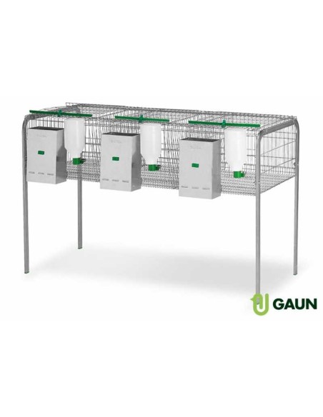 JAULA CONEJOS SEGURA GAUN