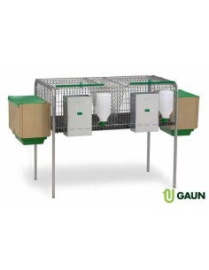 JAULA CONEJOS LAGUNA GAUN