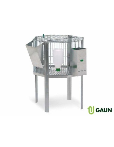 CILINDRO OCTOGONAL PARA MACHOS GAUN