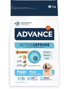 PUPPY MAXI AFFINITY ADVANCE
