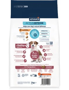 MINI +8 AFFINITY ADVANCE 2