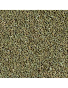 GUPPY GRAN NATURE SERA 2