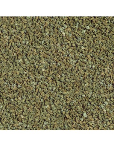 GUPPY GRAN NATURE SERA