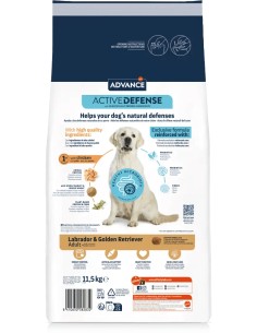 LABRADOR AFFINITY ADVANCE - 11,5 KG 2