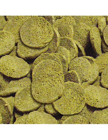 WELS CHIPS NATURE SERA