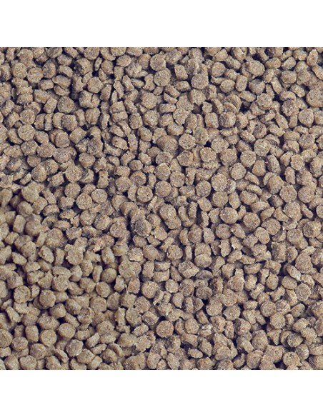 GRANURED NATURE SERA