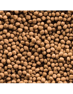 GOLDY GRAN NATURE SERA 2