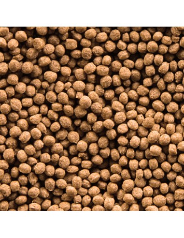 GOLDY GRAN NATURE SERA