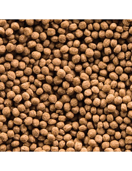 GOLDY GRAN NATURE SERA