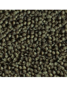 GOLDY COLOR SPIRULINA SERA 2