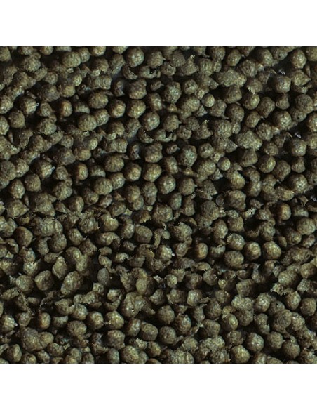 GOLDY COLOR SPIRULINA SERA