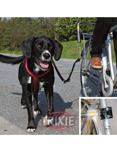 SET BICICLETA DE LUXE TRIXIE