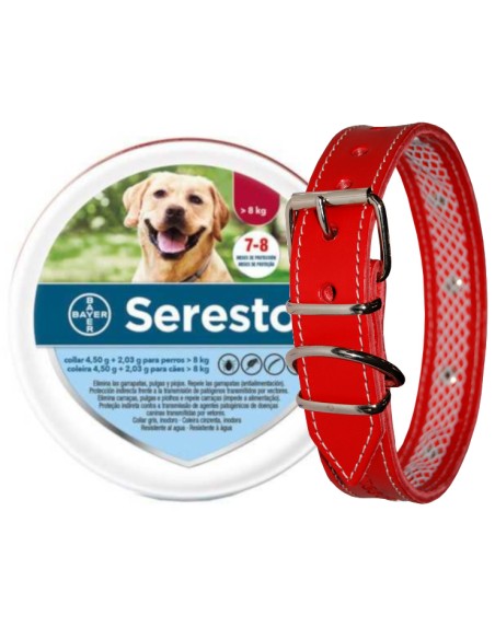 SERESTO + COLLAR CUERO TUYNEC