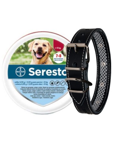 SERESTO + COLLAR CUERO TUYNEC