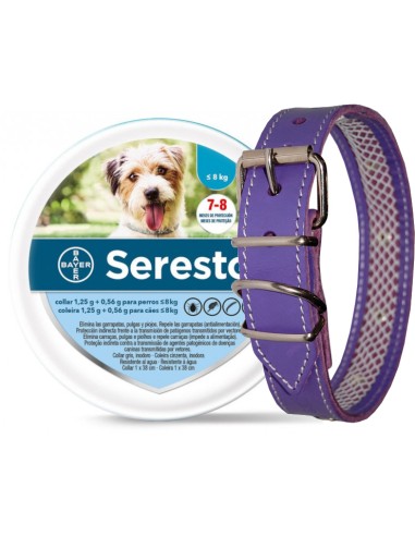 SERESTO + COLLAR CUERO TUYNEC