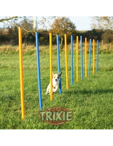 ESLALOM PARA AGILITY TRIXIE - AZUL / NARANJA