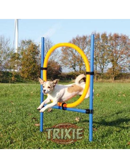 ARO PARA AGILITY TRIXIE - AZUL / NARANJA