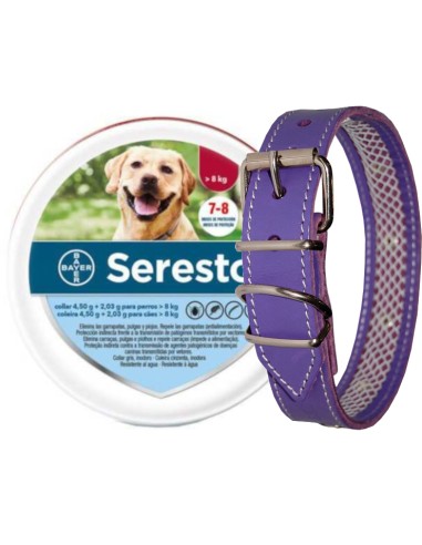 SERESTO + COLLAR CUERO TUYNEC