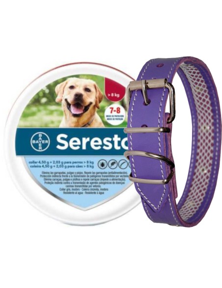 SERESTO + COLLAR CUERO TUYNEC