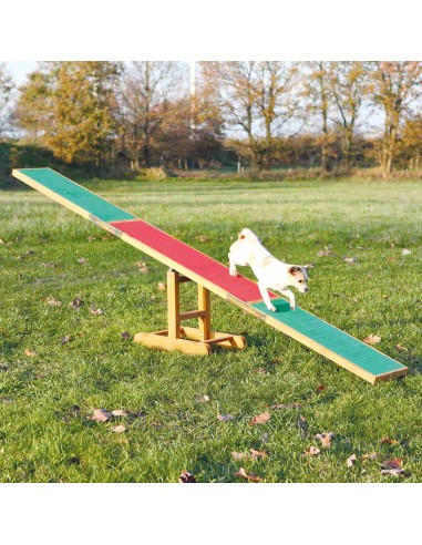 BALANCÍN AGILITY TRIXIE - 300 X 54 X 34 CM