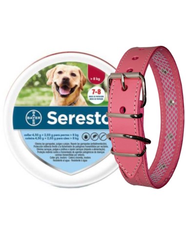 SERESTO + COLLAR CUERO TUYNEC