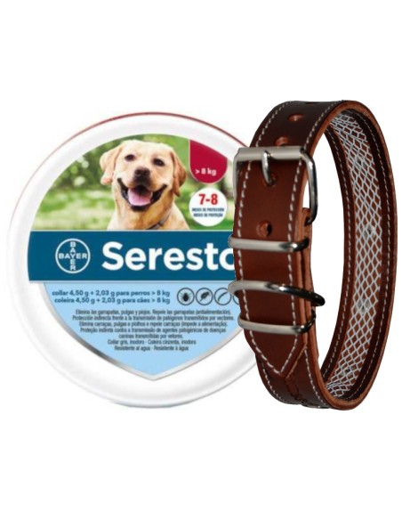SERESTO + COLLAR CUERO TUYNEC