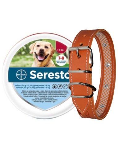 SERESTO + COLLAR CUERO TUYNEC