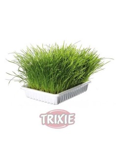 BANDEJA BIO HIERBA PARA GATOS TRIXIE - 100 GR