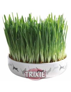 BOL CERÁMIC DE SEMILLAS GATOS TRIXIE - Ø15 X 4 CM (50 GR...