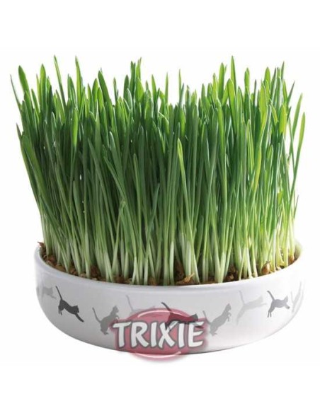 BOL CERÁMIC DE SEMILLAS GATOS TRIXIE - Ø15 X 4 CM (50 GR DE SEMILLA)