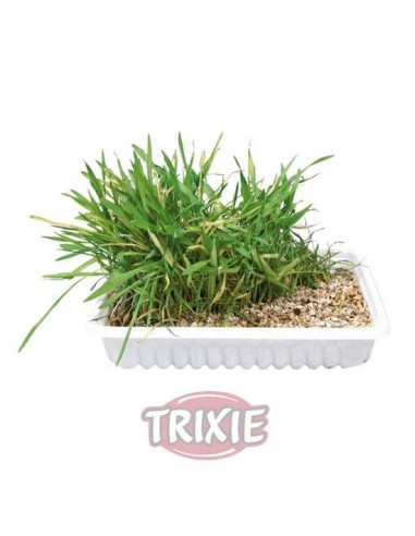 HIERBA GATOS CON BANDEJA TRIXIE - 100 GR