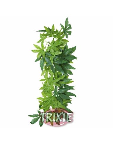 PLANTA SEDA COLGANTE TERRARIOS ABUTILON TRIXIE