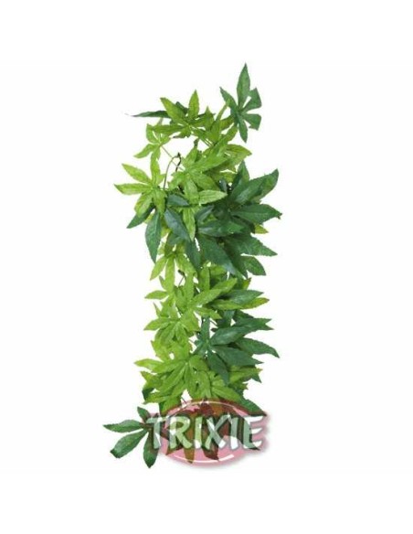 PLANTA SEDA COLGANTE TERRARIOS ABUTILON TRIXIE