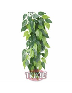 PLANTA SEDA COLGANTE TERRARIOS FICUS TRIXIE
