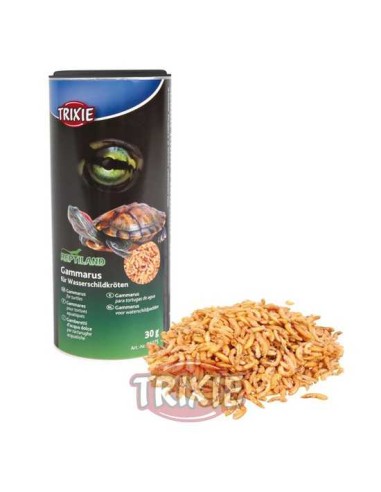 GAMMARUS TRIXIE