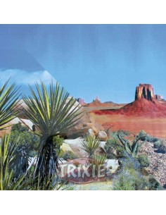 FONDO DECORATIVO TERRARIOS DOBLE CARA I TRIXIE - 60 X 150 CM