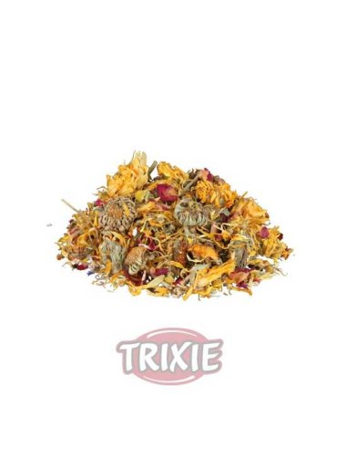 MEZCLA DE FLORES PARA REPTILES TRIXIE - 75 GR