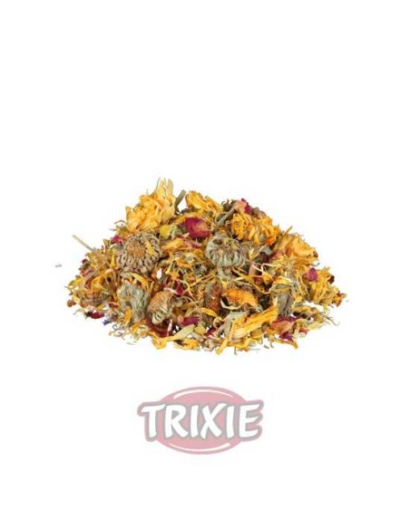 MEZCLA DE FLORES PARA REPTILES TRIXIE - 75 GR